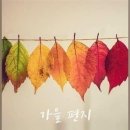 빵빠레 이미지