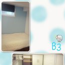 아담방 Daum카페