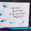 플러스펜 수채 캘리 이미지