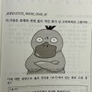 시험에 나온 고라파덕 이미지