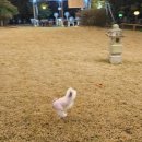 초담마을 이미지