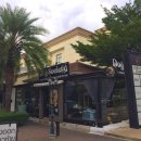 도그소사이어티 이미지