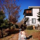 평창 나모펜션 이미지