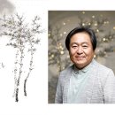 靑春-아름다운 나날 이미지