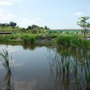 창포연못낚시터 이미지