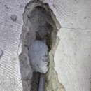 석전동010 이미지