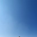 정진사 이미지