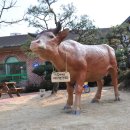 이한우농장 이미지