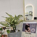 주하 헤어살롱