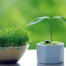 경기도 수원시 권선구 권광로 116 (권선동) 이미지