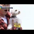 브이케어 이미지