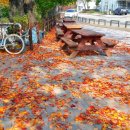 밀레니엄당구장 이미지