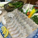 대한수산물백화점 | 광주두암동맛집 대한수산물백화점 봄도다리회 입맛저격