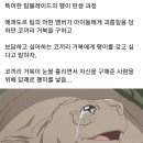 탑블레이드 이미지