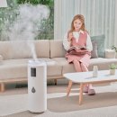 183 | 프롬비 몬스터 대용량가습기 FC183 후기 살펴보기, 1,700ml 진동자의 매력은?