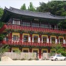 동화사 - 1115 | 동화사