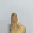네일스튜디오노야우