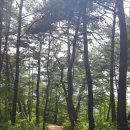 별무리 민박 이미지