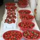 한일지물포 이미지