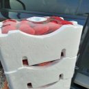 홍진농장 이미지