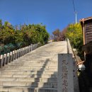 해태거리길 사거리 | 포항 구룡포 일본인 가옥거리 근대문화역사거리 카페 까멜리아