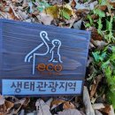 왕피천힐링팜 이미지
