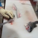 낙안청과 | 서해랑길 59코스 무창포해수욕장에서 대천해수욕장, 60코스 대천항, 죽도 상화원