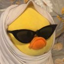 애니타임 이미지