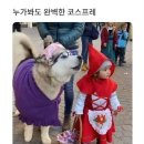 빨간모자 이미지