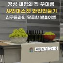 체험의집꾸미룸 | 장성 체험의 집 꾸미룸 샤인머스켓 와인만들기