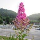 이포보 강변 이미지