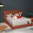 알레르망 이미지