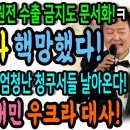 핵포기뿐만 아니라 원전 수출 금지도 문서화 이미지