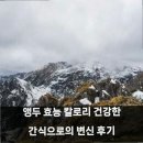 앵두내 | 앵두 효능 칼로리 건강한 간식으로의 변신 후기
