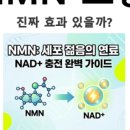 수원역365약국
