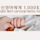 신생아에게 1000$,트럼프 계좌가 S&P500을 떠받치는 이유