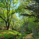 죽전자이공인중개사사무소 이미지