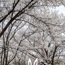 청풍 관광정보센터 이미지