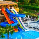 호호아이 이미지