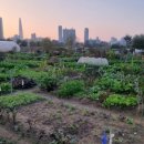 송파농장 이미지