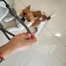 짱구세탁소 이미지