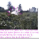 주식농장 이미지