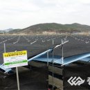 인삼목재
