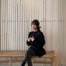 노리댕댕 이미지