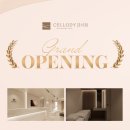 연세로마피부과의원 이미지