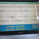 프로25
