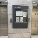 레푸스 금호점 이미지