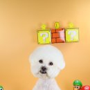 위드 더 독 이미지