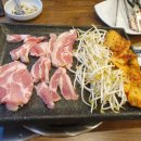 금관꽃돼지 이미지