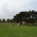 을숙도 생태공원 이미지